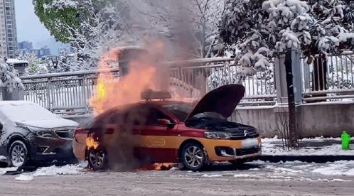 利川的士最新爆料消息,揭秘背后驚人真相