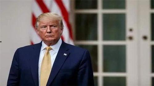 特朗普最新家族爆料圖鑒,揭秘權(quán)力背后的家族秘密