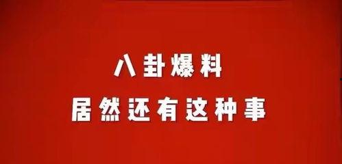 娛樂八卦最新爆料文章在線閱讀,最新爆料文章在線閱讀，明星幕后故事大曝光！