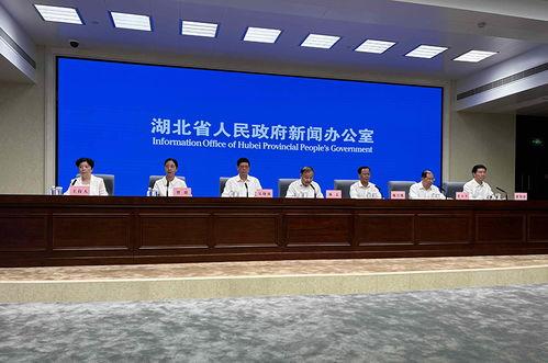 平湖最新爆料案件新聞發(fā)布會(huì),新聞發(fā)布會(huì)揭露案情細(xì)節(jié)